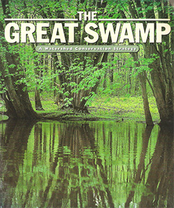 The-Great_swamp-Nature-Conservancy